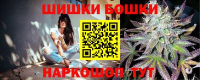 молекула духа Будённовск