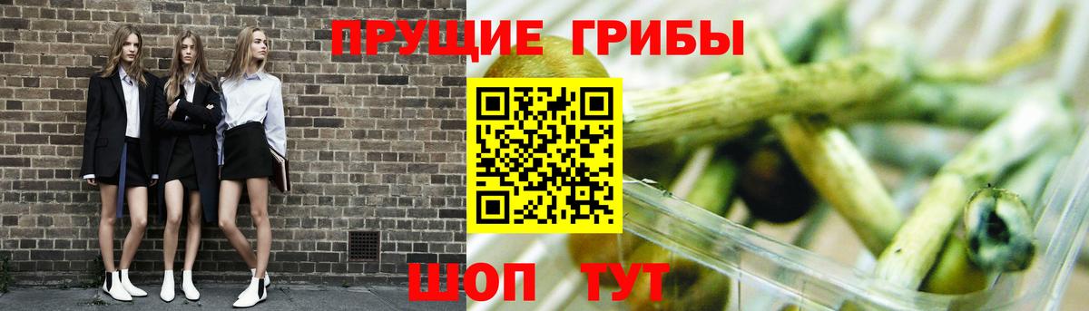 Псилоцибиновые грибы Cubensis  Вход с VPN  Ступино  Псилоцибиновые грибы MAGIC MUSHROOMS 